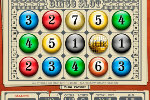 bingo slot pragmatic
