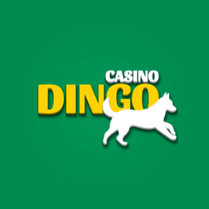 Casino Dingo Review