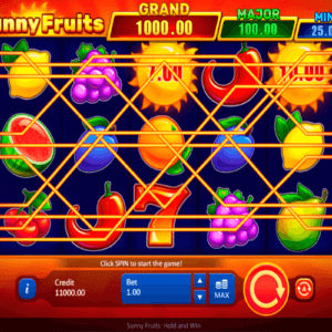 sunny fruits hold and win playson